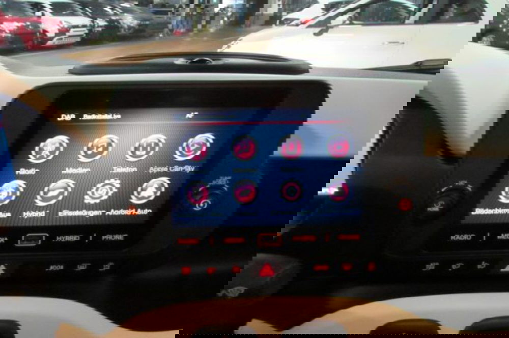 Fiat Panda Cross usata a Milano (9)