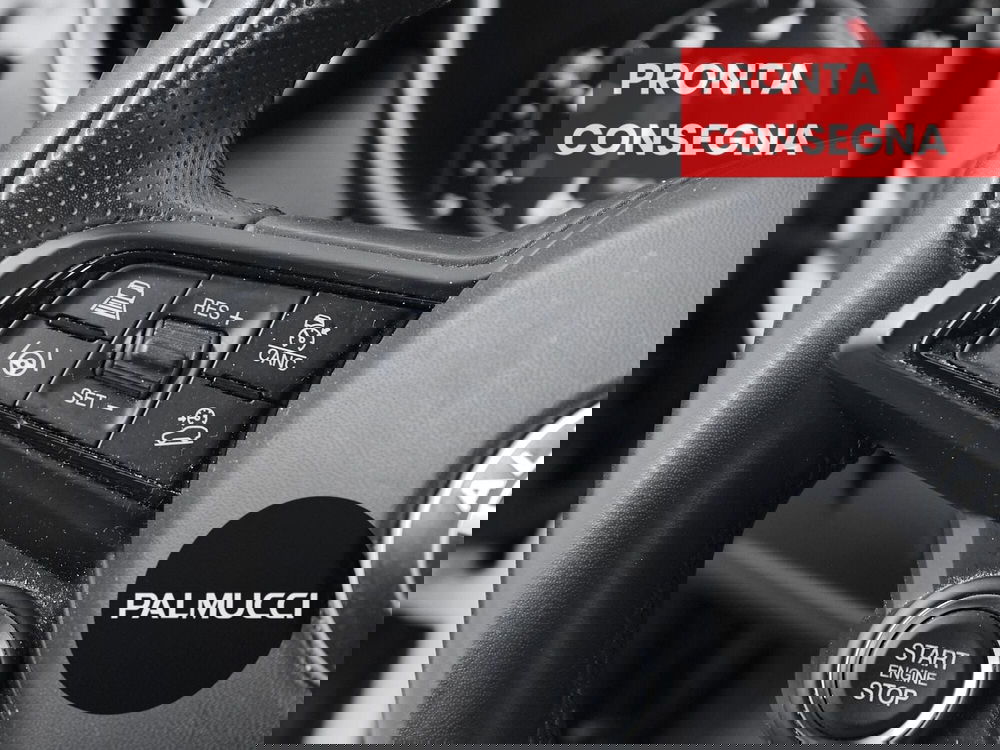 Alfa Romeo Stelvio usata a Prato (15)