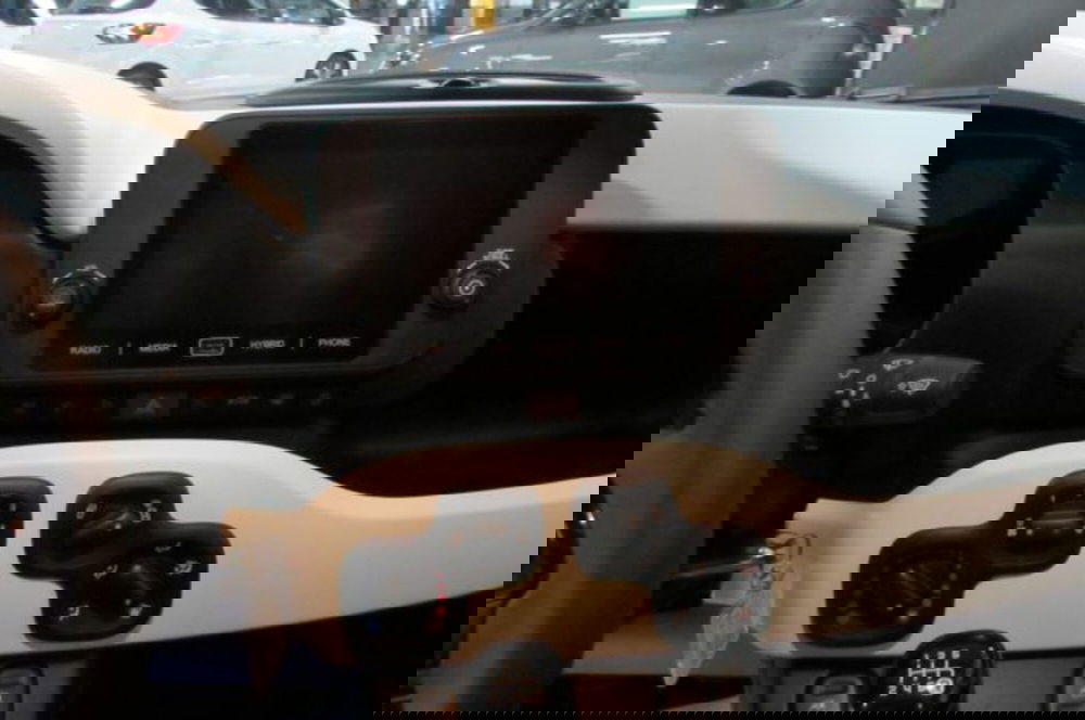 Fiat Panda Cross usata a Milano (8)