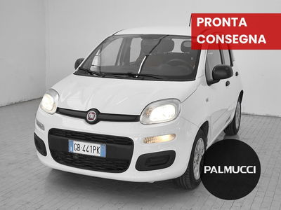Fiat Panda 1.2 Easy del 2020 usata a Prato