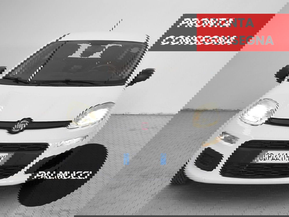 Fiat Panda usata a Prato (2)