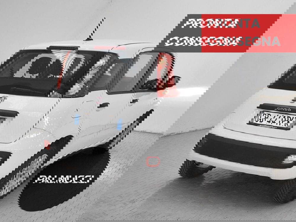 Fiat Panda usata a Prato (3)