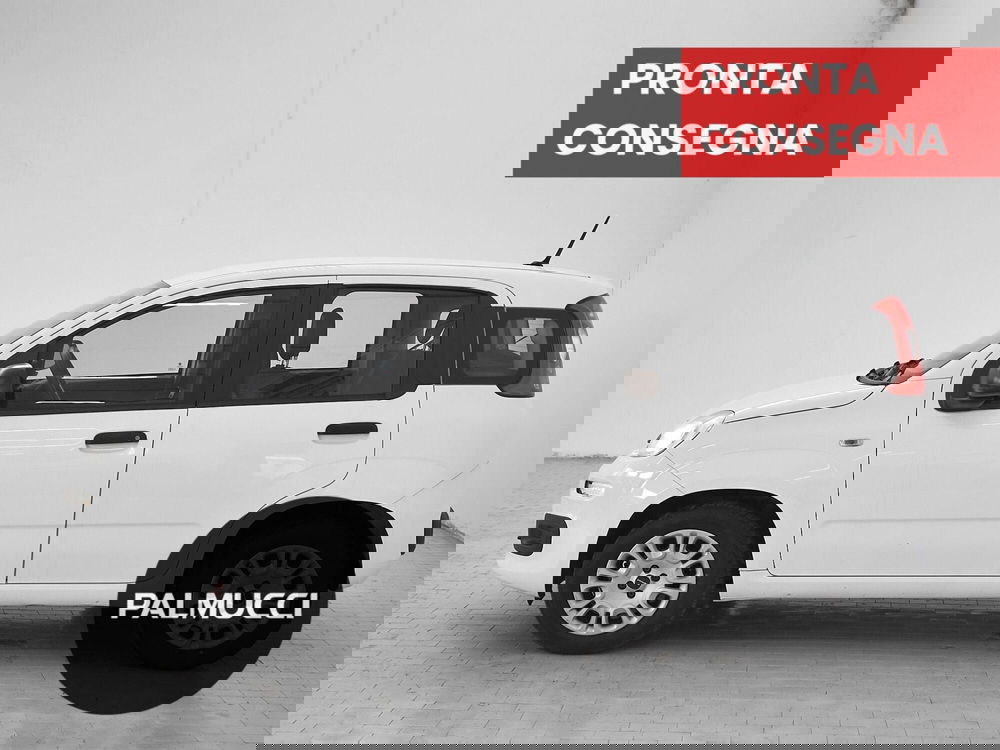 Fiat Panda usata a Prato (4)