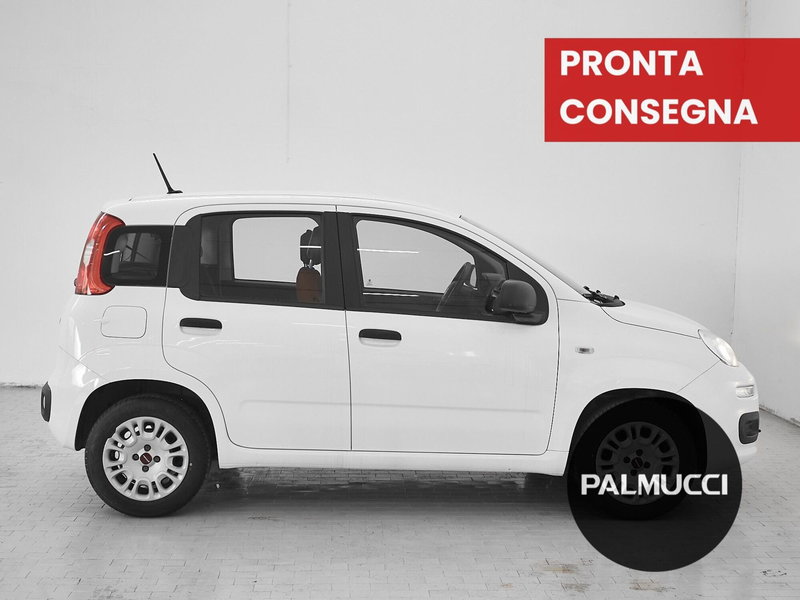 Fiat Panda usata a Prato (5)