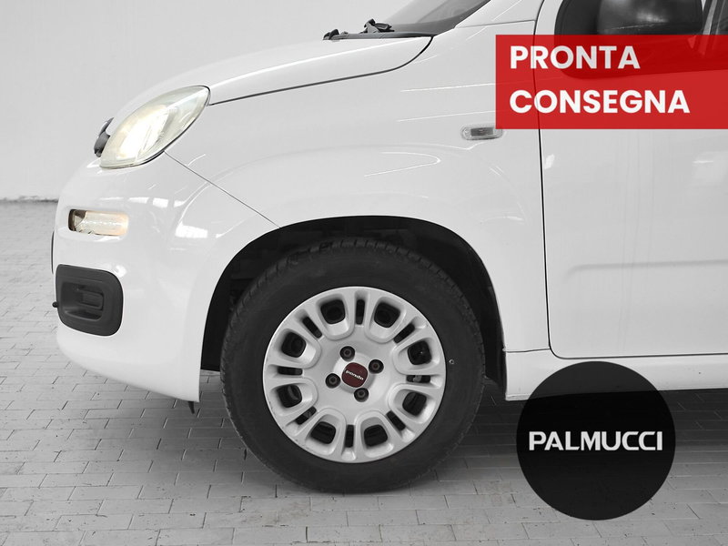 Fiat Panda usata a Prato (6)