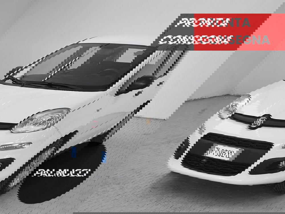 Fiat Panda usata a Prato