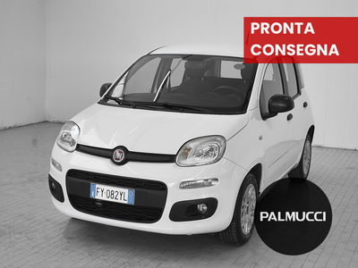Fiat Panda 1.2 Easy del 2019 usata a Prato