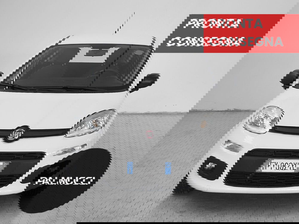 Fiat Panda usata a Prato (2)