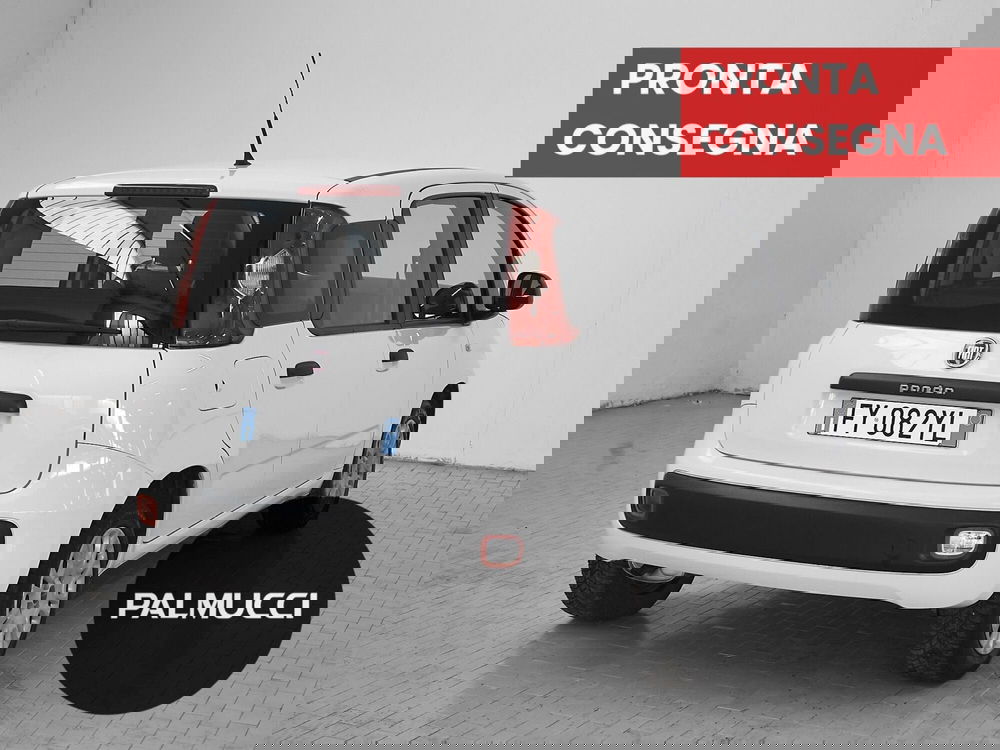 Fiat Panda usata a Prato (3)