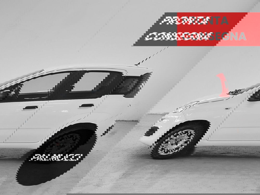 Fiat Panda usata a Prato (4)