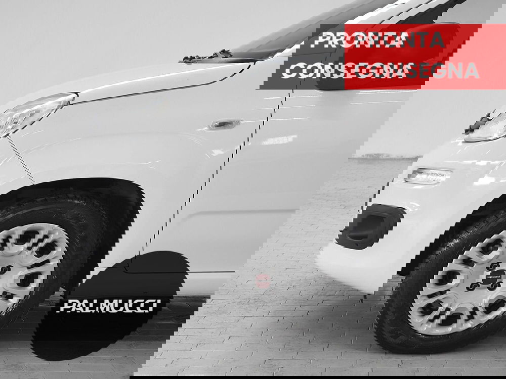 Fiat Panda usata a Prato (6)