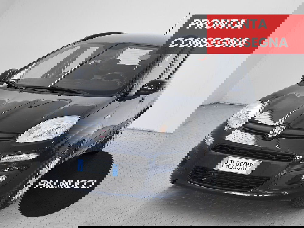 Fiat Panda usata a Prato