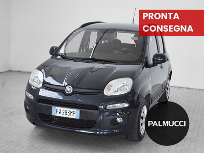 Fiat Panda 1.2 EasyPower Easy del 2019 usata a Prato