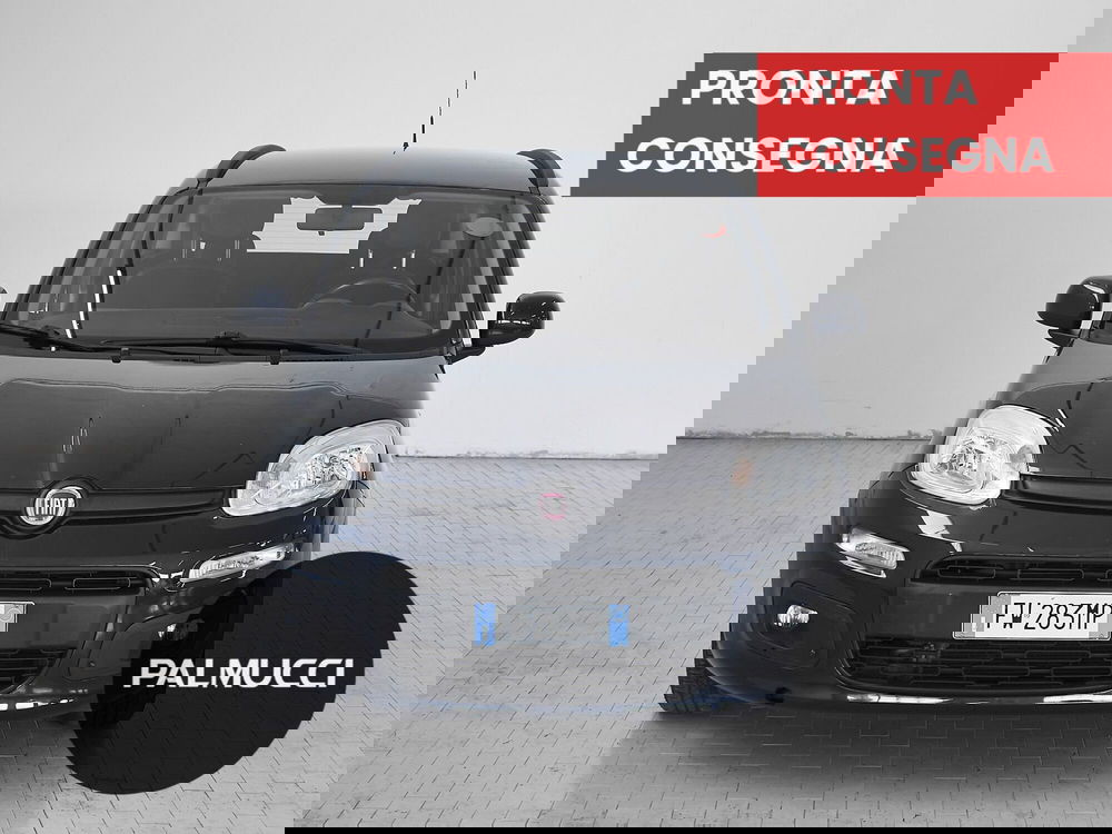 Fiat Panda usata a Prato (2)