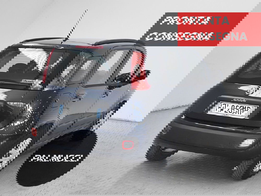 Fiat Panda usata a Prato (3)