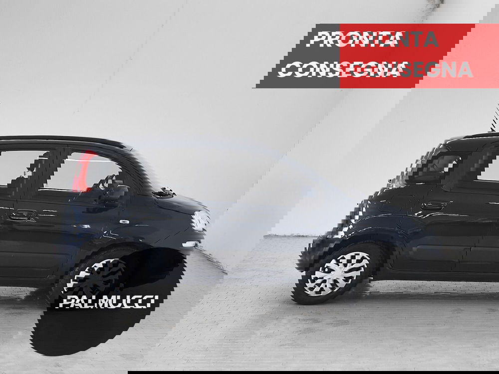 Fiat Panda usata a Prato (5)