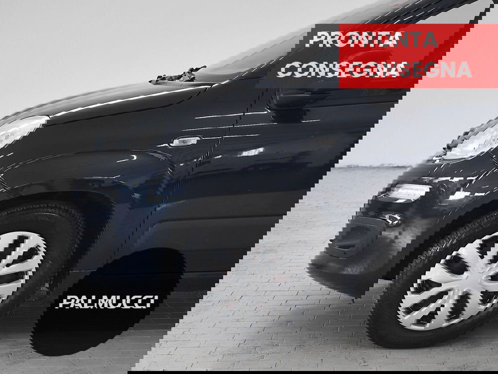 Fiat Panda usata a Prato (6)