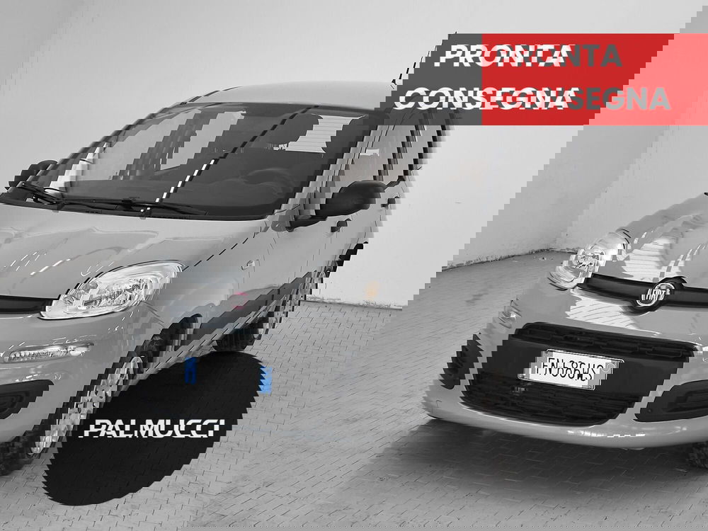 Fiat Panda usata a Prato