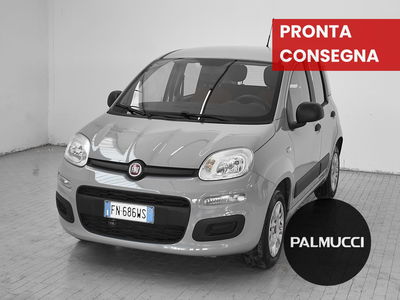 Fiat Panda 1.2 Easy del 2018 usata a Prato