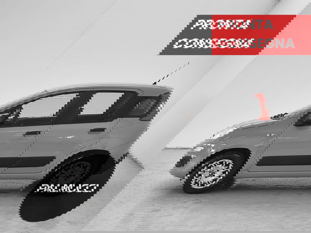 Fiat Panda usata a Prato (3)