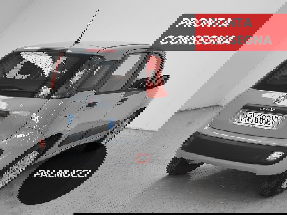 Fiat Panda usata a Prato (4)