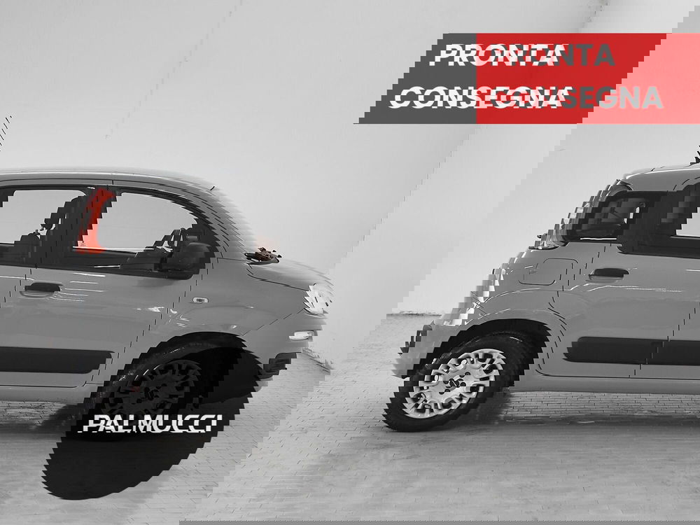 Fiat Panda usata a Prato (5)