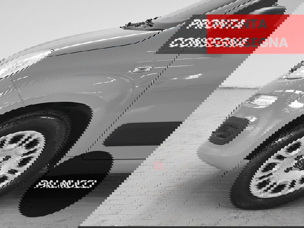 Fiat Panda usata a Prato (6)