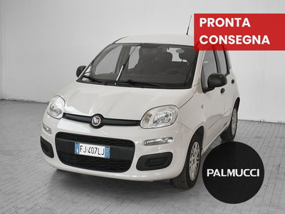 Fiat Panda 1.2 Easy del 2017 usata a Prato