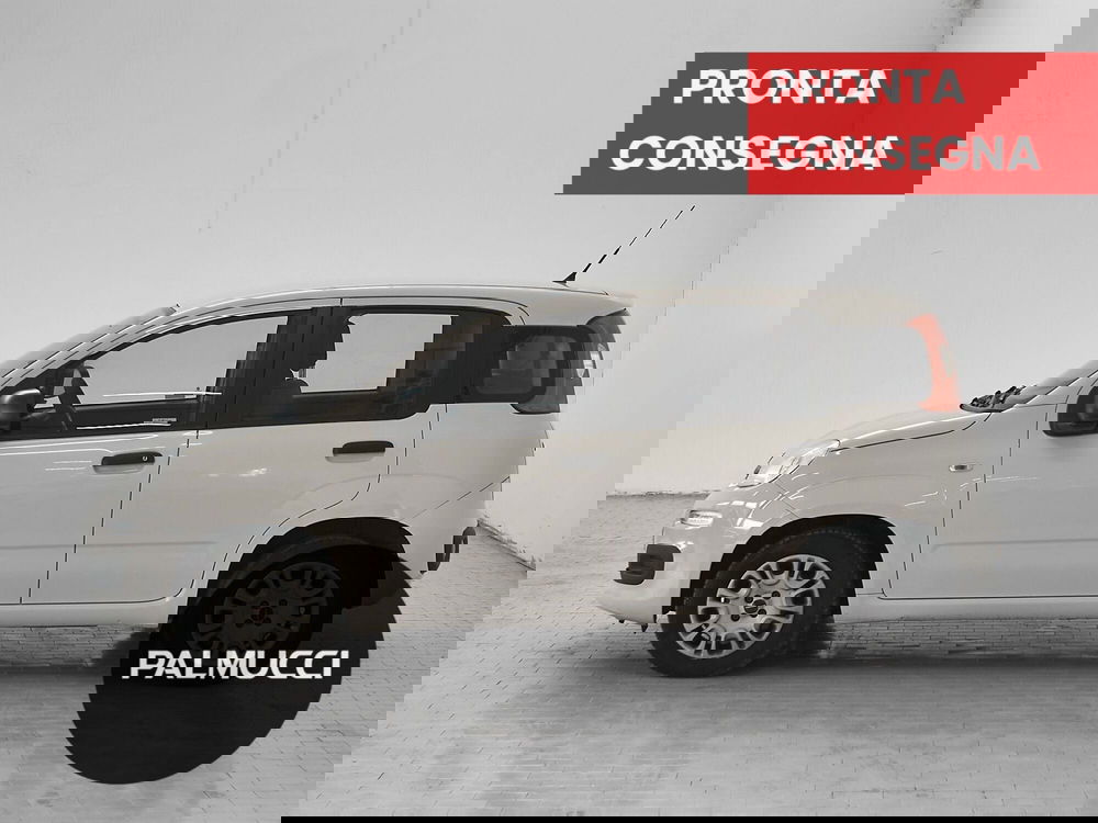 Fiat Panda usata a Prato (3)