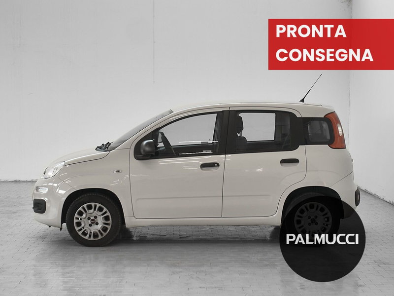Fiat Panda usata a Prato (3)