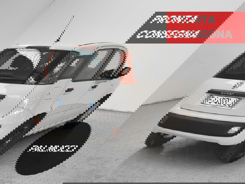 Fiat Panda usata a Prato (4)