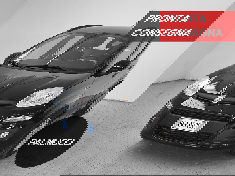 Fiat Panda usata a Prato