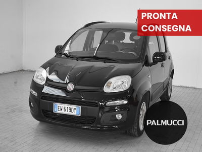 Fiat Panda 1.3 MJT S&amp;S Easy del 2014 usata a Prato