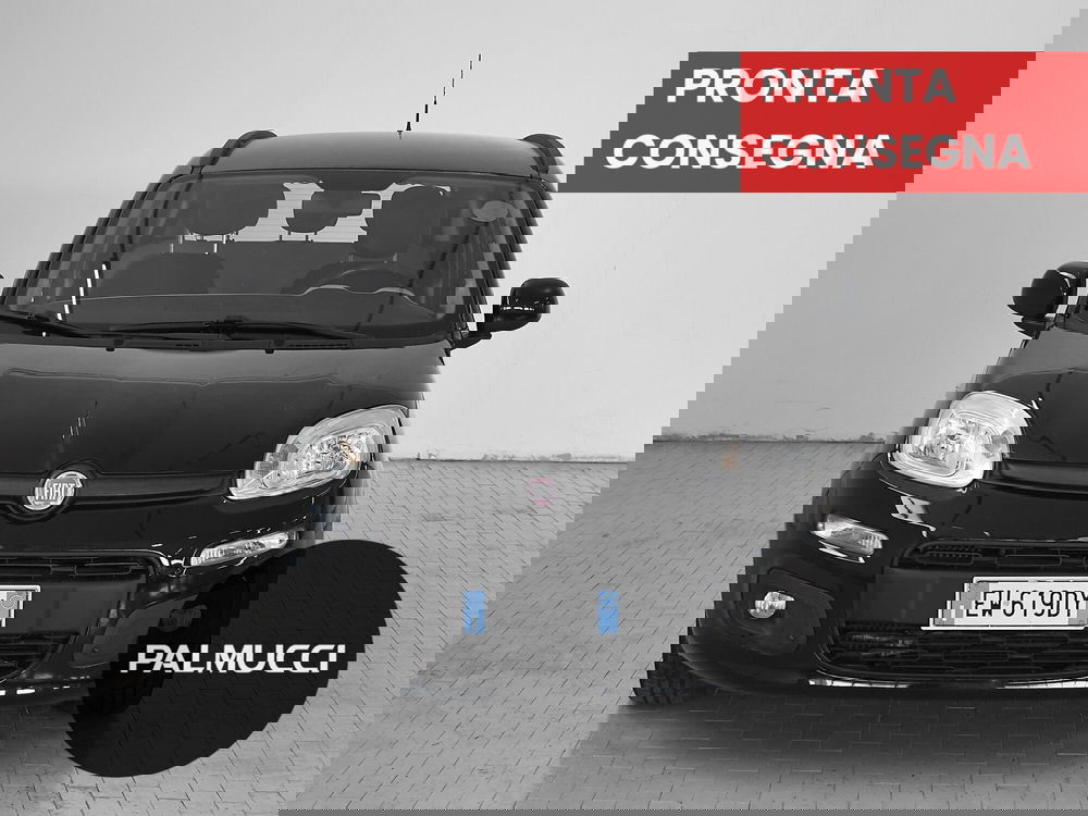 Fiat Panda usata a Prato (2)