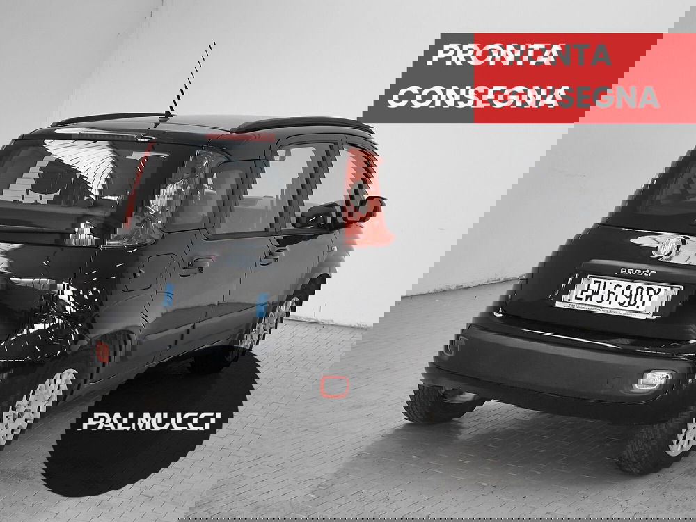 Fiat Panda usata a Prato (3)