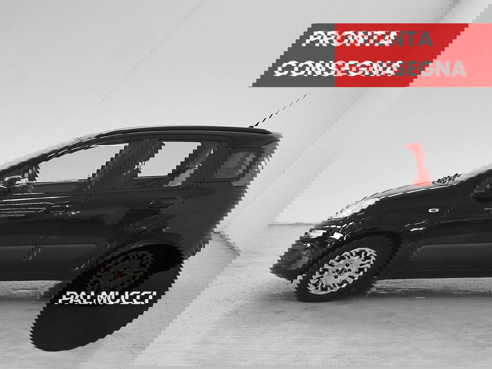 Fiat Panda usata a Prato (4)