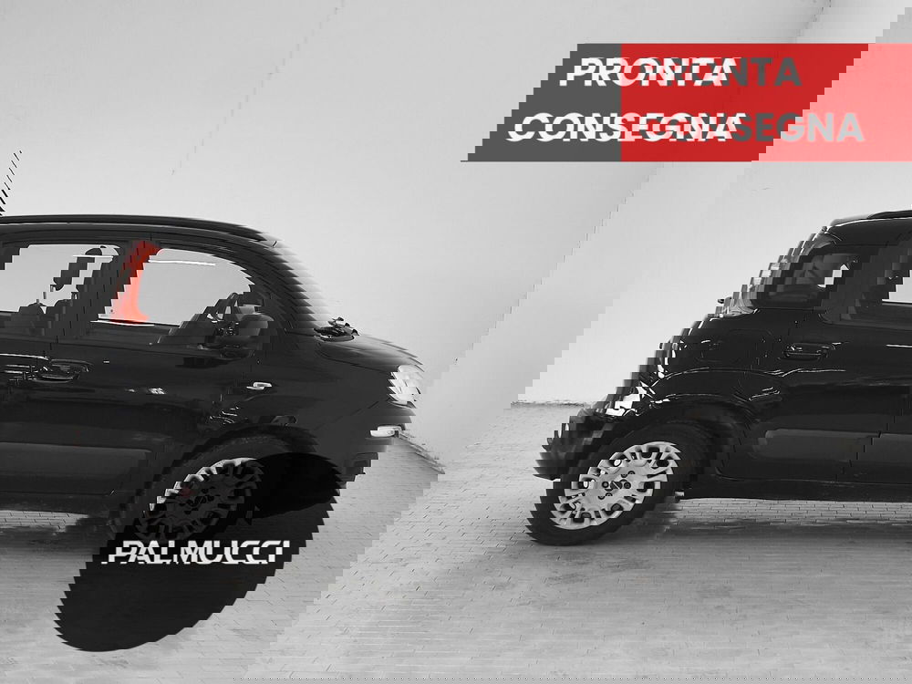 Fiat Panda usata a Prato (5)