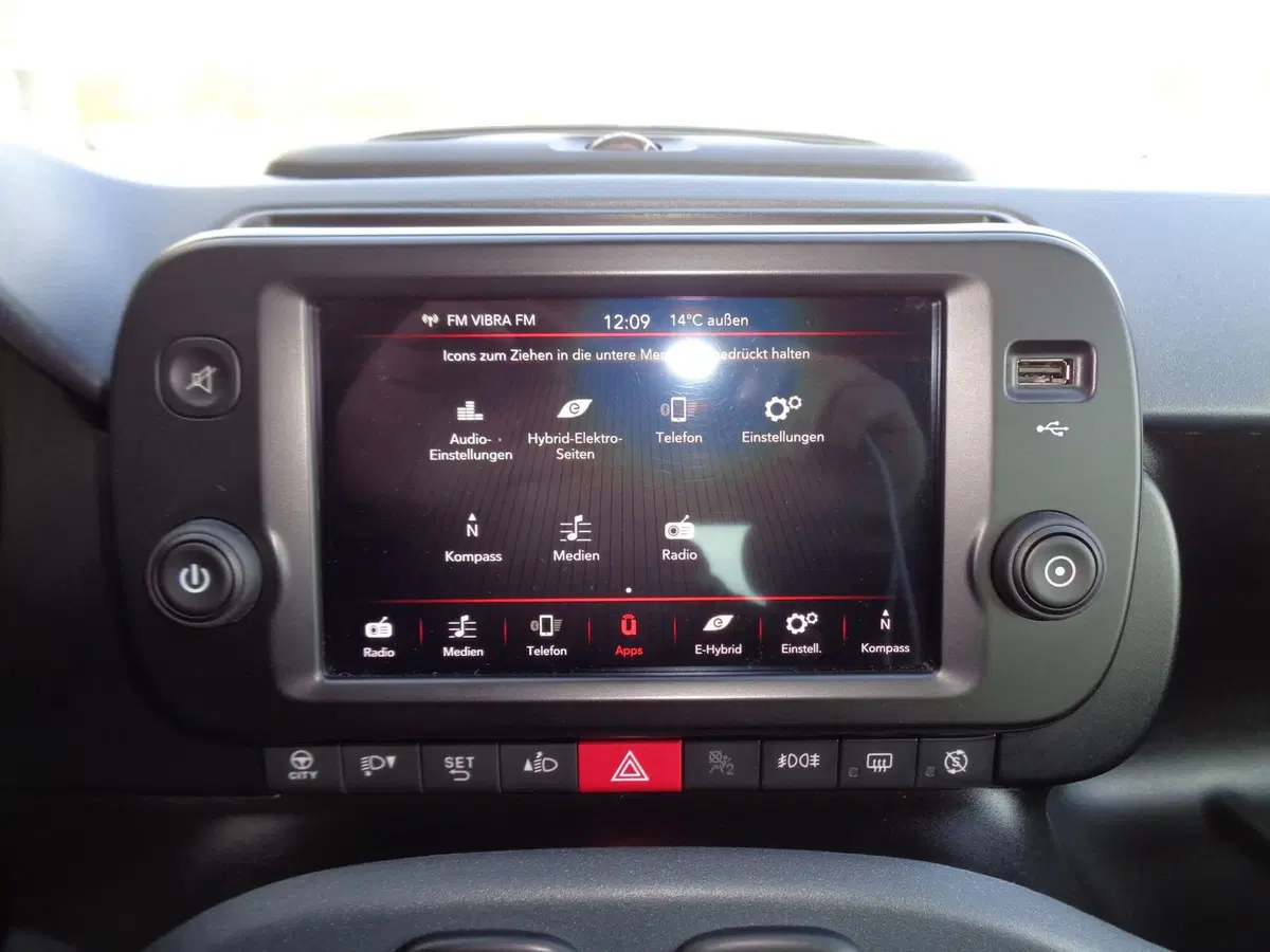 Fiat Panda Cross usata a Belluno (14)