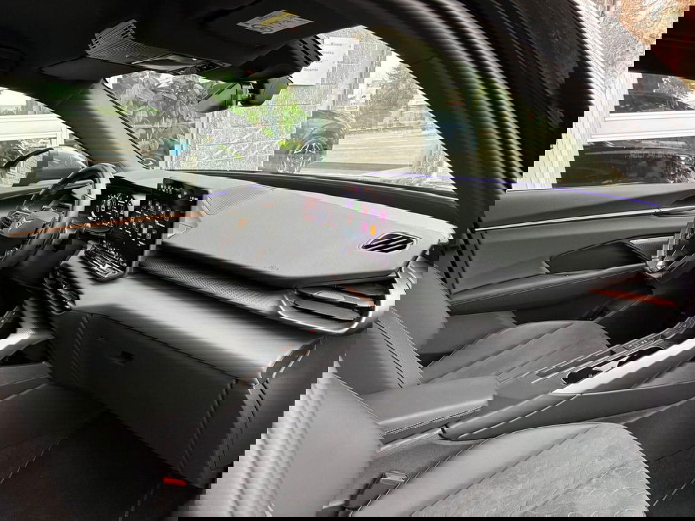 Cupra Terramar usata a Monza e Brianza (11)