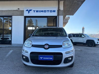 Fiat Panda 1.2 Easy del 2016 usata a Teramo