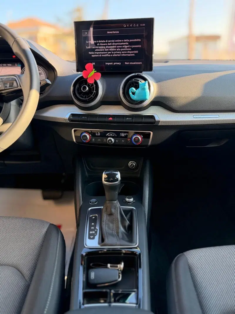 Audi Q2 usata a Teramo (16)