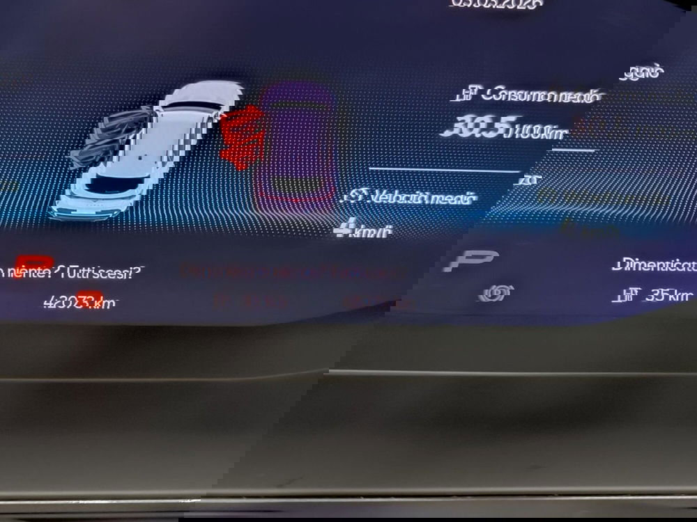 Cupra Formentor usata a Udine (14)