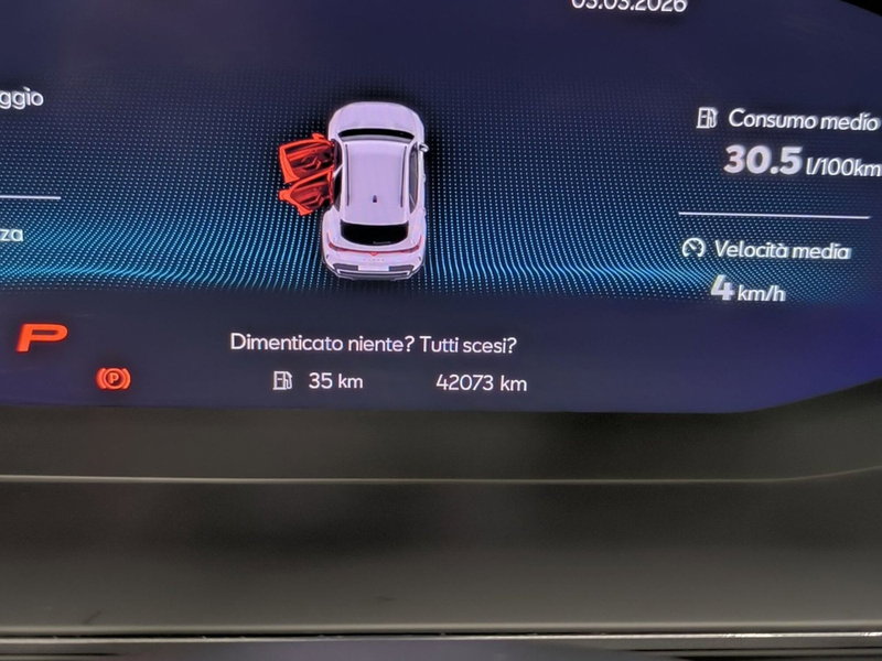 Cupra Formentor usata a Udine (14)