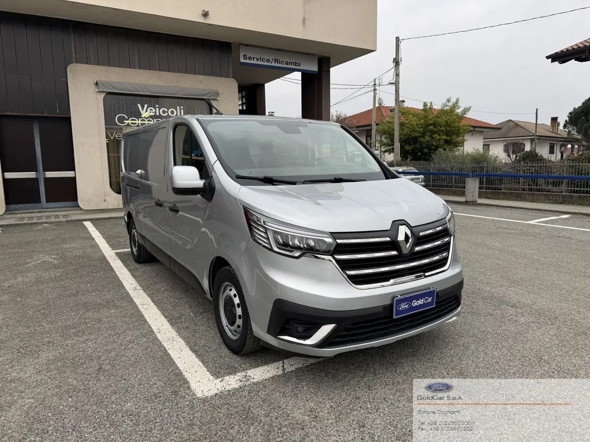 Renault Trafic Furgone usata a Torino (2)