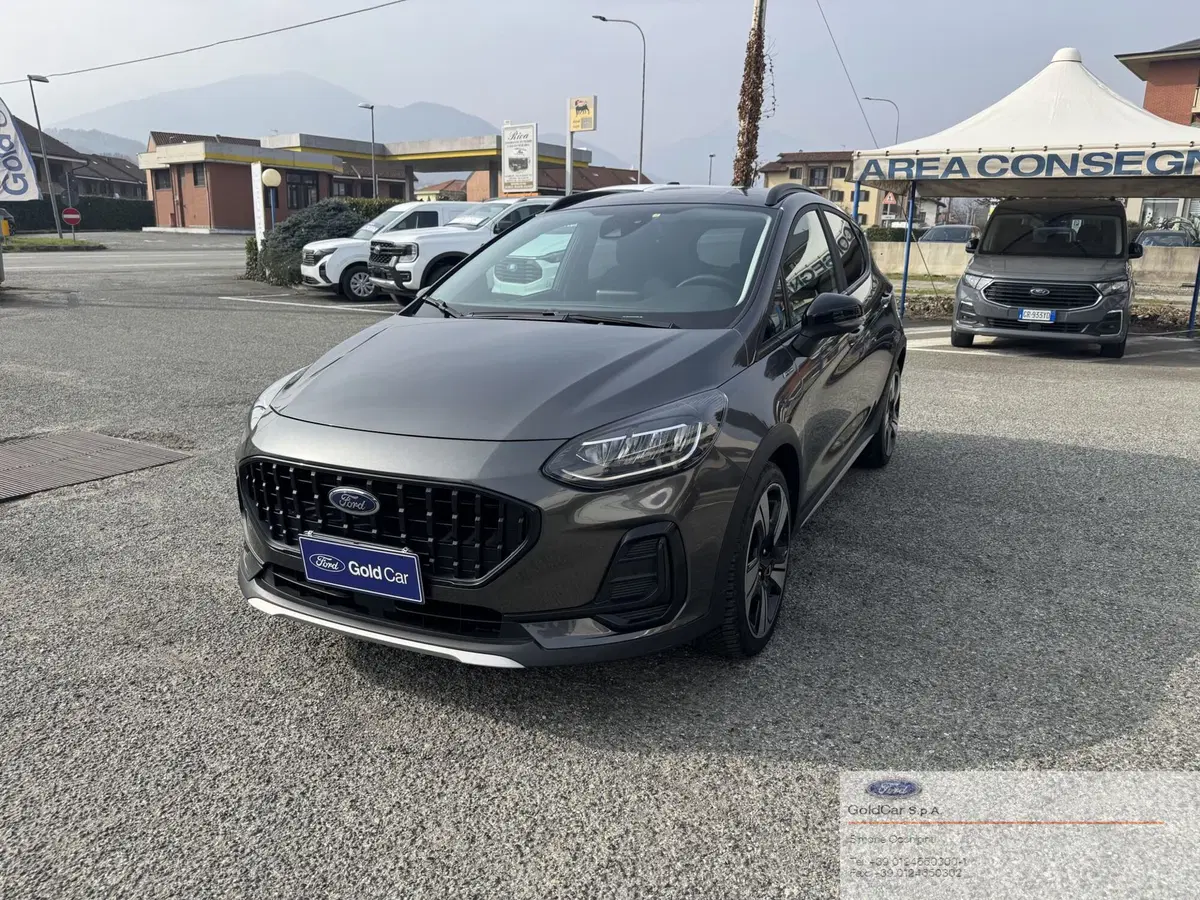 Ford Fiesta usata a Torino