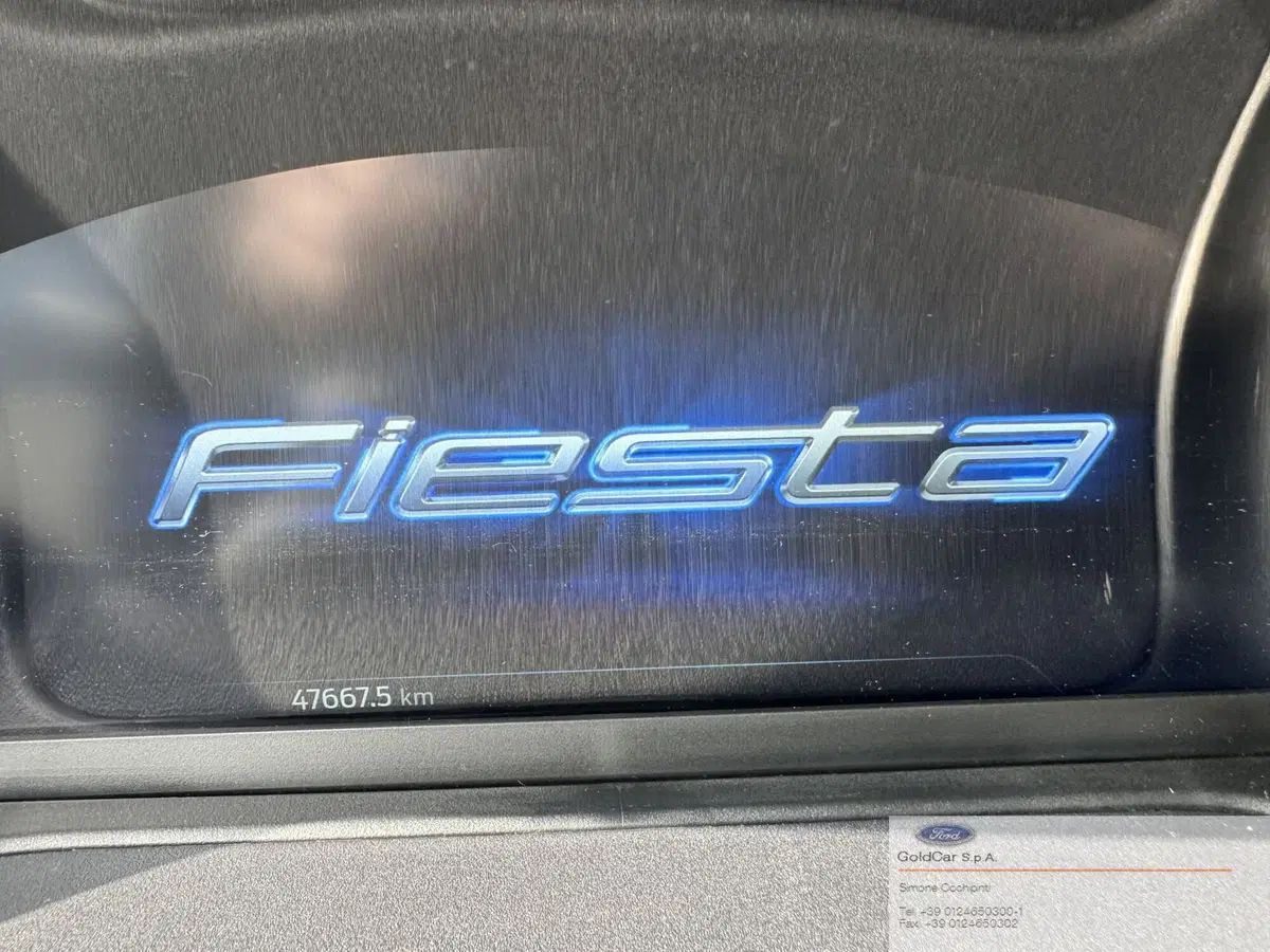 Ford Fiesta usata a Torino (14)