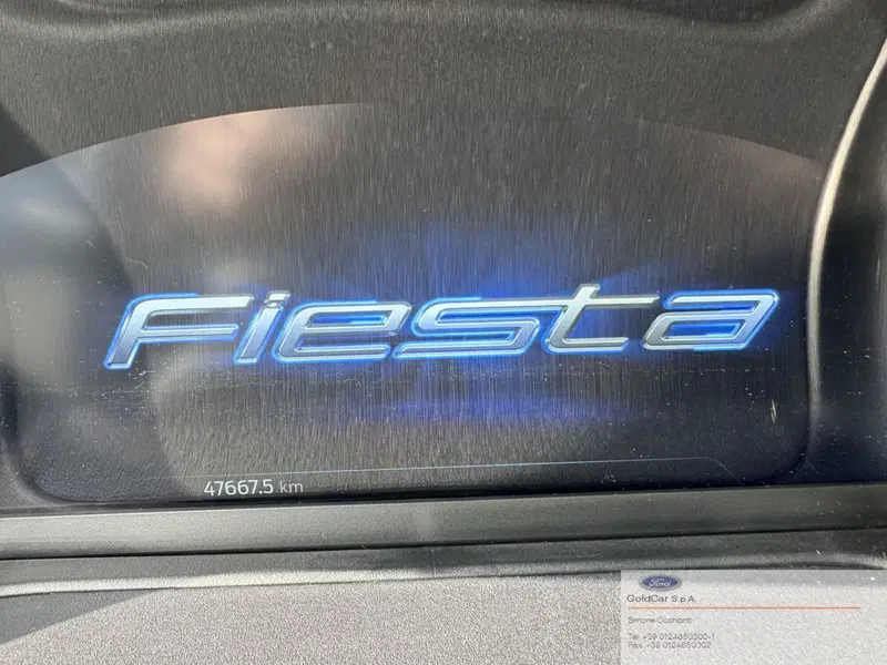 Ford Fiesta usata a Torino (14)
