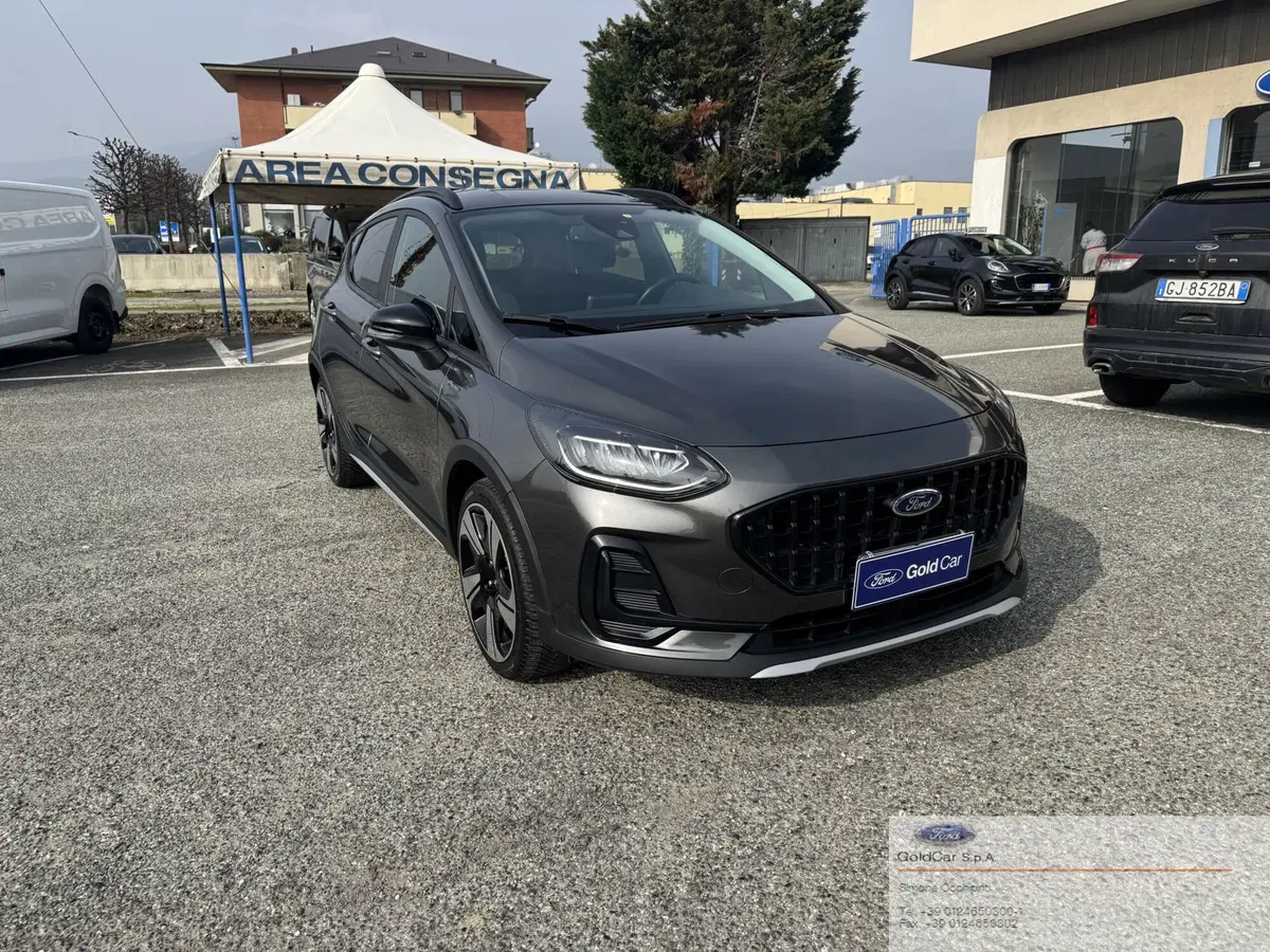 Ford Fiesta usata a Torino (2)
