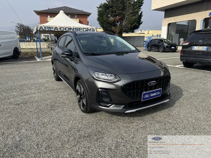 Ford Fiesta usata a Torino (2)