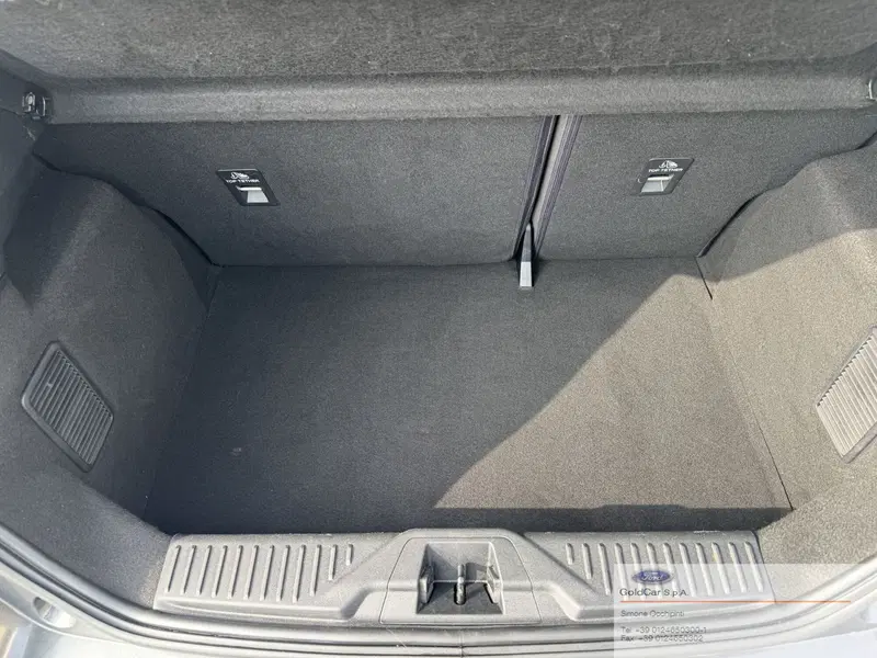 Ford Fiesta usata a Torino (8)